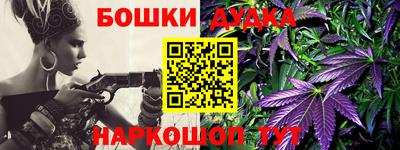 индика Будённовск