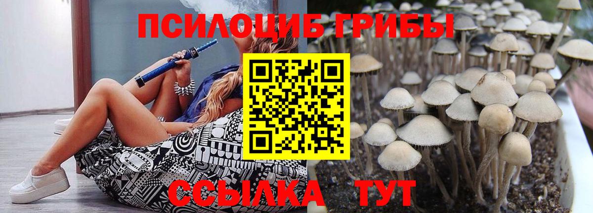Псилоцибиновые грибы мицелий Старая Русса
