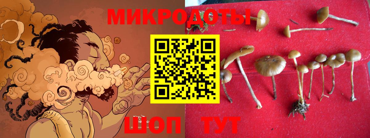 даркнет сайт  Псилоцибиновые грибы GOLDEN TEACHER  Псилоцибиновые грибы Psilocybe  Вход с VPN  Старая Русса 