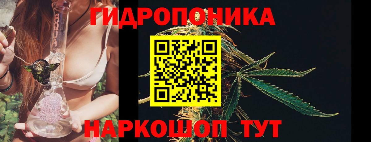 Каннабис White Widow Старая Русса